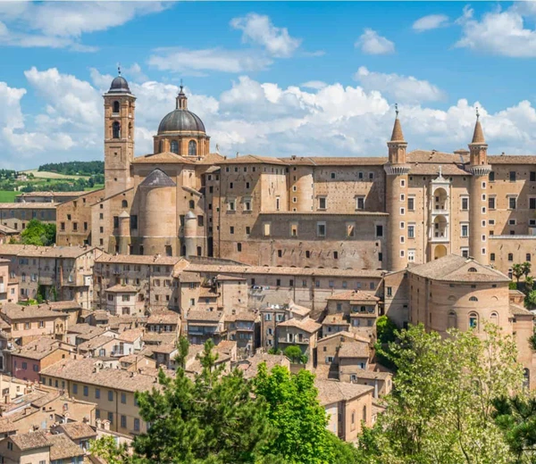 Truffles and Guided Cycling Tour