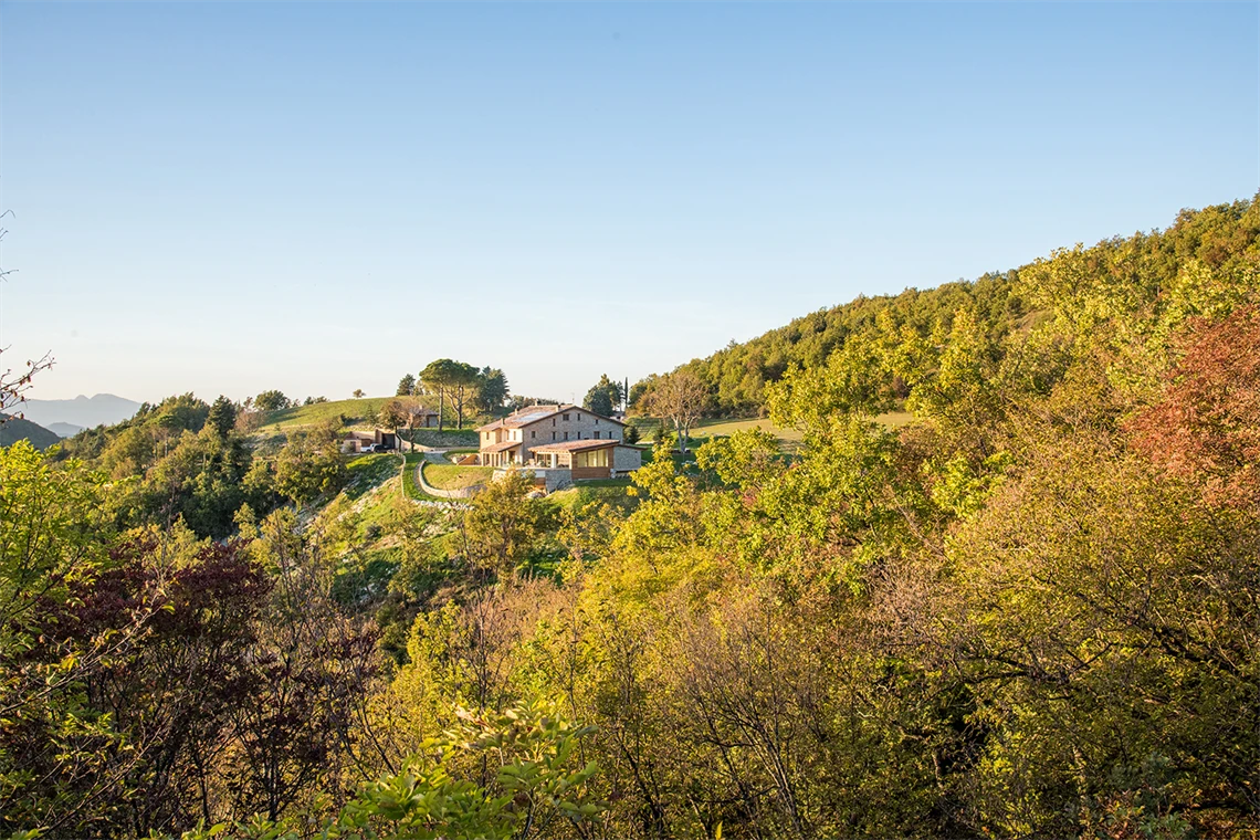 passeggiata nel bosco