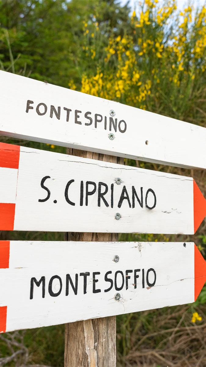 Regenerating Walk in the Woods